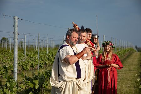 Viroviacum Romanum maakt Mulsum Vino Viro mulsum-wervik (5)