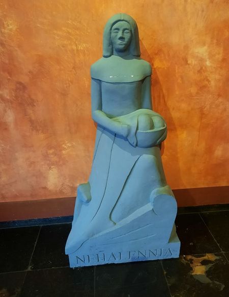 nehalennia__1_