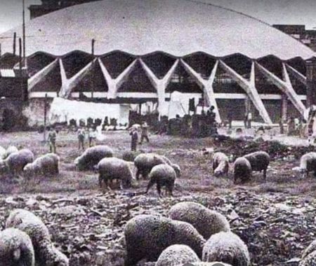 Renovatie Palazzetto dello Sport veel duurder dan verwacht Palazzetto_dello_Sport_Roma (17)