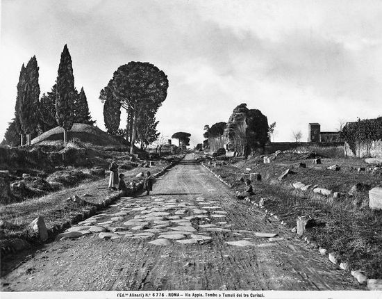 parasolden_pijnboom_appia_antica1