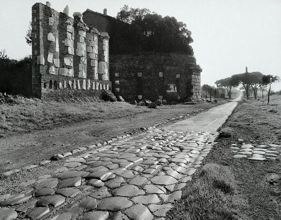 parasolden_pijnboom_appia_antica2