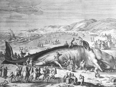 Poggio Bracciolini, De varietate fortunae (II) poggio2 (2)