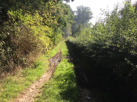 Romeinse_heerbaan (4)