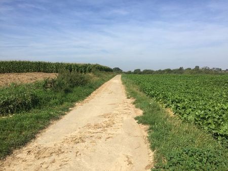 Romeinse_heerbaan (5)