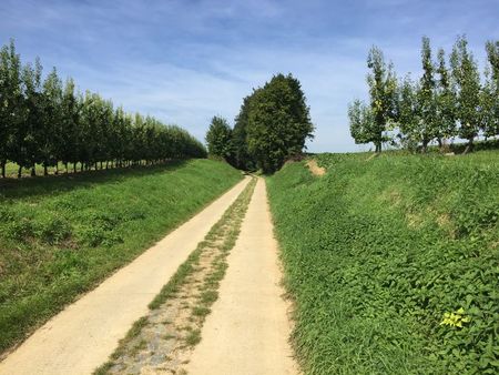 Romeinse_heerbaan (6)