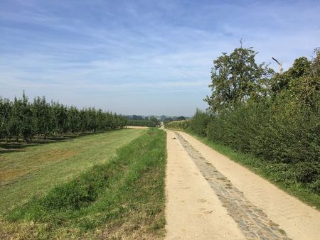 Romeinse_heerbaan (7)
