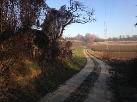 Romeinse_heerbaan (8)