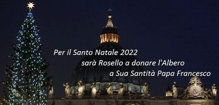 Oorspronkelijke Vaticaanse kerstboom mocht niet worden gekapt rosello_boom