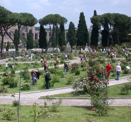 rozentuin_rome (1)