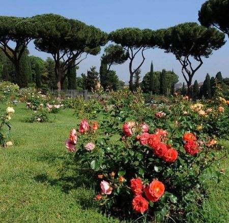 rozentuin_rome (9)