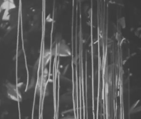 spaghettiboom (1)
