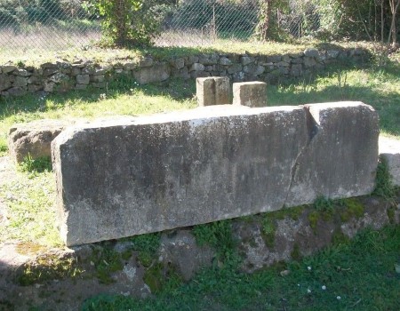 turranii (4)