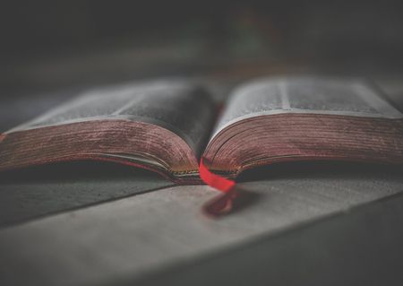 Vaticaanse manuscripten en incunabelen online beschikbaar vaticanbib