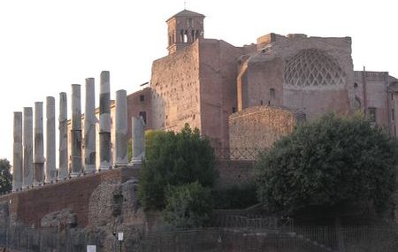 venus_roma2