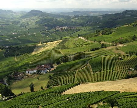 Export Italiaanse wijn daalt voor het eerst in dertig jaar vino2