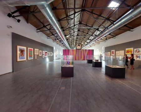warhol_vaccheria (13)