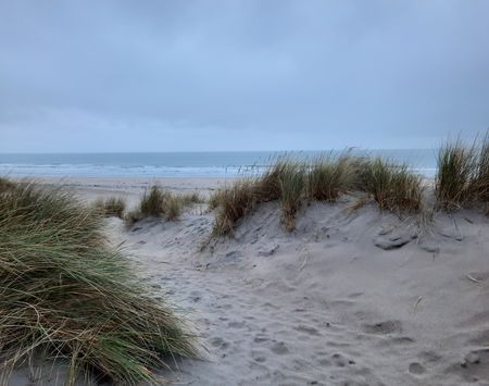 zee_michiel (1)