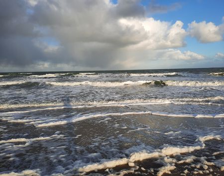 zee_michiel (4)